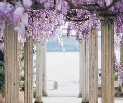 6-7-2017 11-17-16 AM.jpg