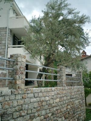 kuca sa dvoristem 2.JPG