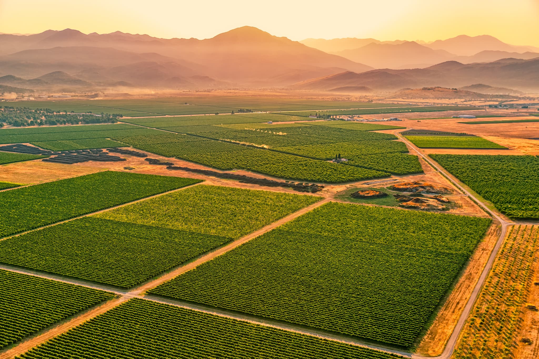 Montenegro Wine Tour